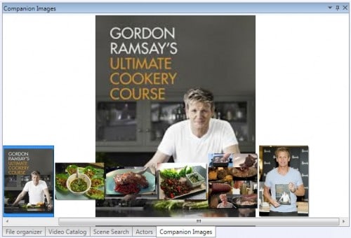 companion image window