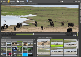 Save time with Fast video cataloger