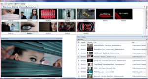 Fast Video Cataloger 1.5 displaying 3 windows reorganized