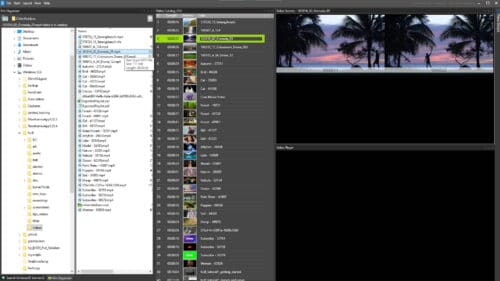 video file organizer